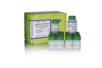 480 Набор реагентов для цитохимического определения щелочной фосфатазы в лейкоцитах (ДИАХИМ-ЦИТОСТЕЙН-ЩФ) по ТУ 9398-079-27428909-2016.