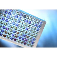 V-фактор, MLT00088